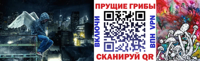МЕГА маркетплейс  Комсомольск  Галлюциногенные грибы Psilocybine cubensis 